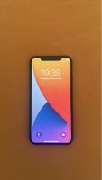 iPhone X 256 GB