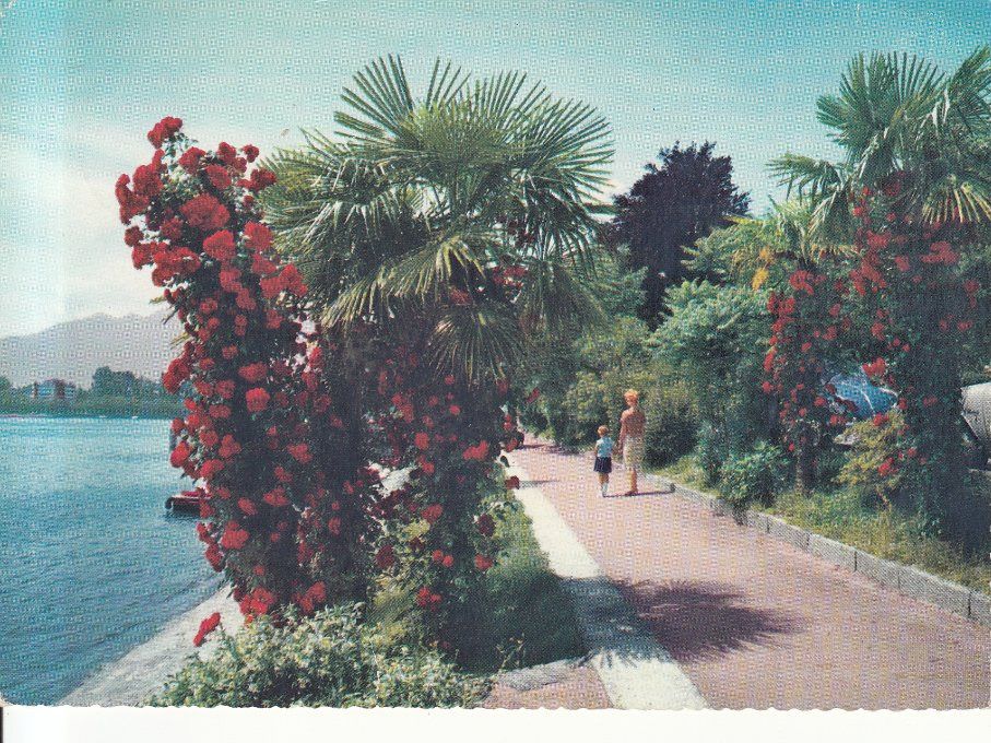 Cartoline postali: Locarno 1970 – Usato da Bürglen TG venduto da StampGraf