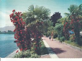 Locarno 1970