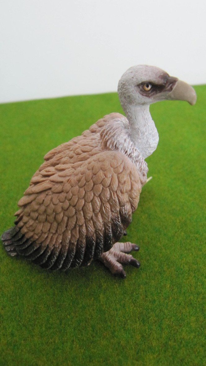 Schleich Giocattoli: Schleich Nilpferd & Geier - Wilde Tiere – Nuovo (secondo la descrizione) da Brunnen venduto da Kiwiland1 2