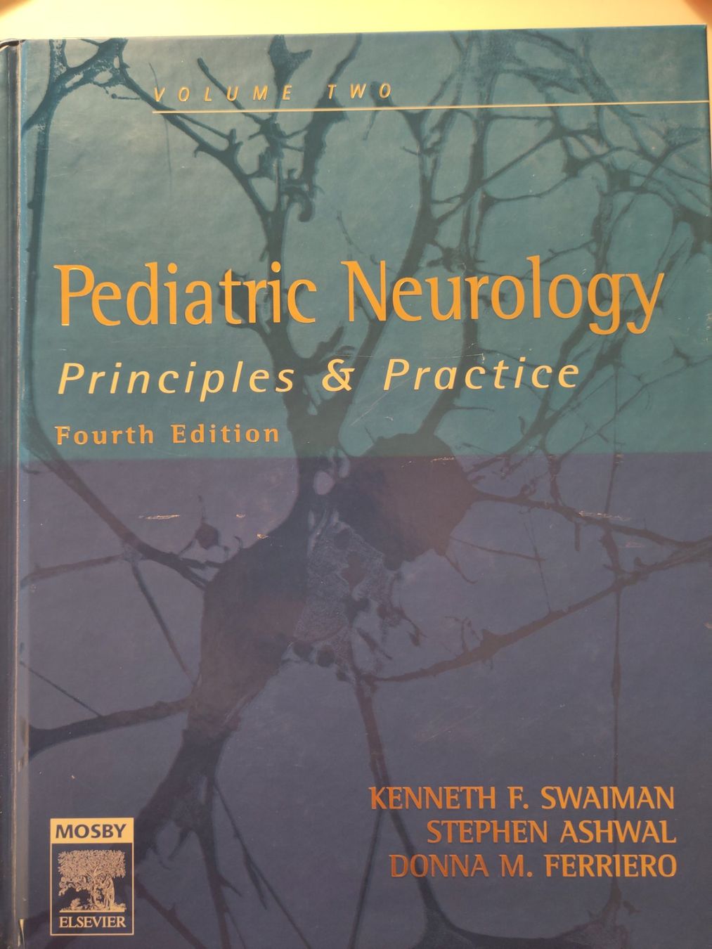 Libri: Pediatric Neurology – Usato da Bülach venduto da Tiefschlaflos