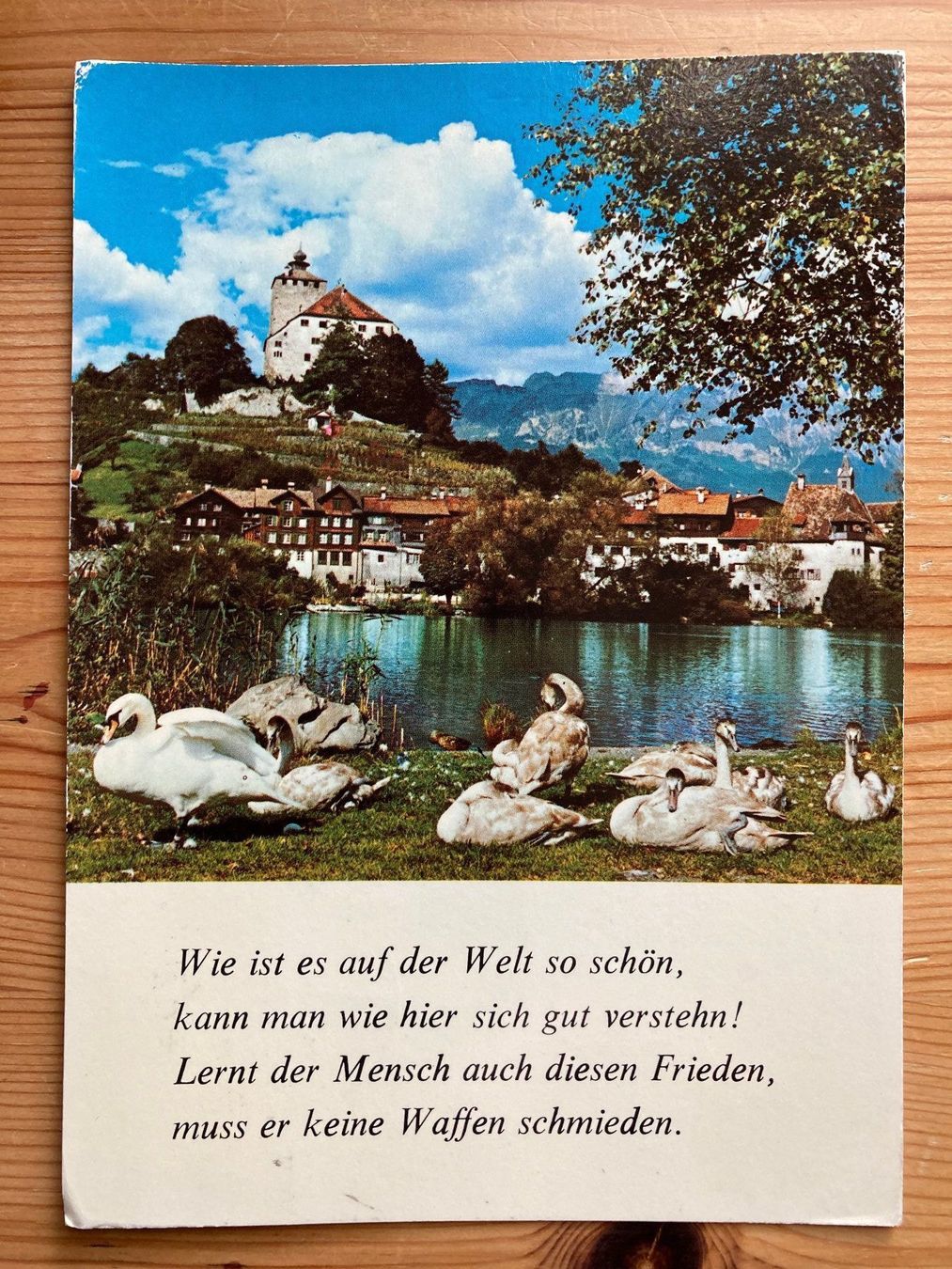 Cartoline postali: Werdenbergersee bei Buchs - AK 1978 – Usato da Oberuzwil venduto da Henri09