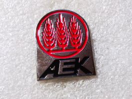 Ansteckpin 110: Aek