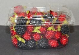 Fruchtschalen transp. 250g mit Deckel