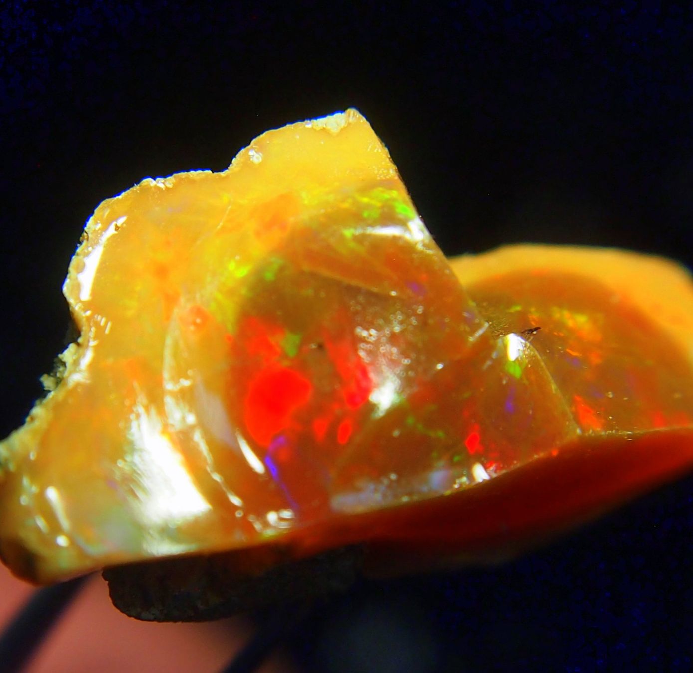 Pietre preziose: 39 ct. Top-funkelnder WELO-Feueropal roh – Nuovo e nell'imballaggio originale da Reinach BL venduto da Marblue 3