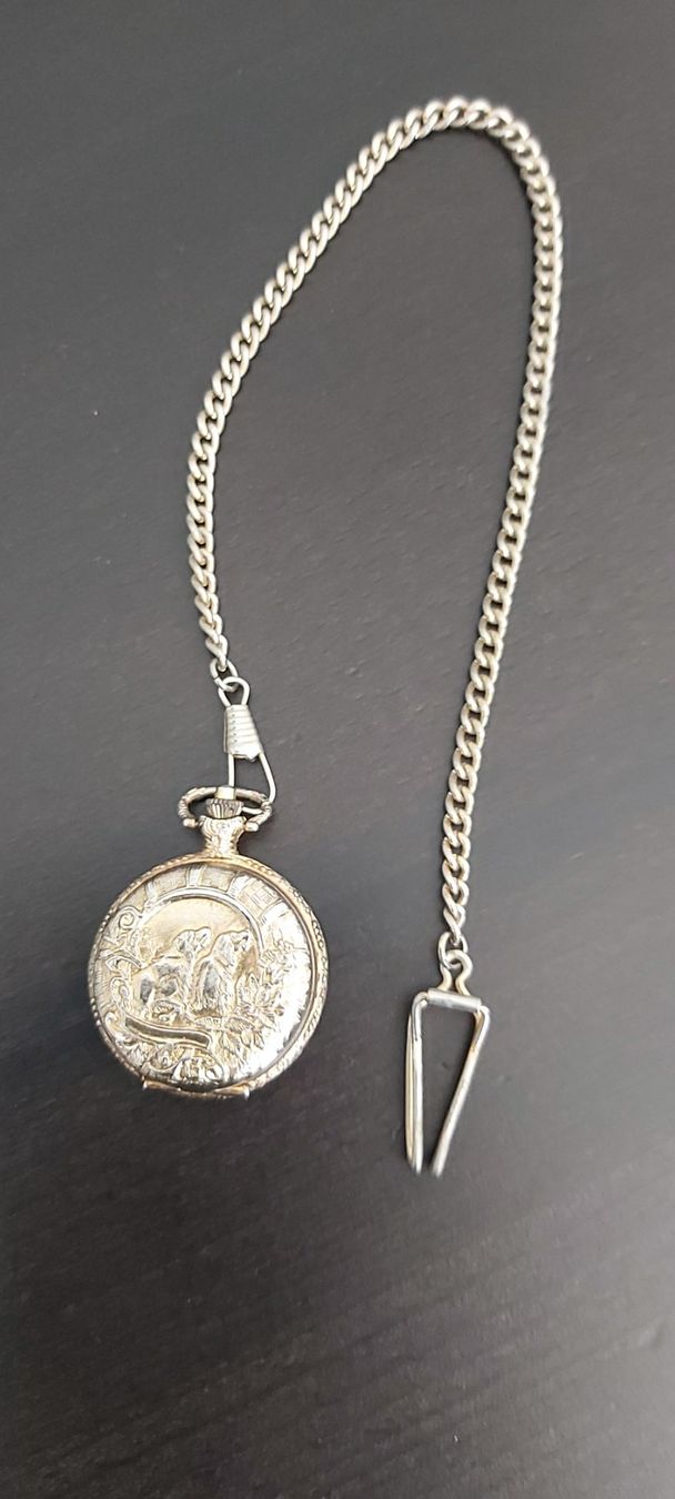 Altri accessori per orologi: Taschenuhr – Usato da Schwarzenbach SG venduto da mel_s6jj 1