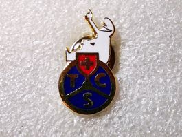 Ansteckpin 31: TCS