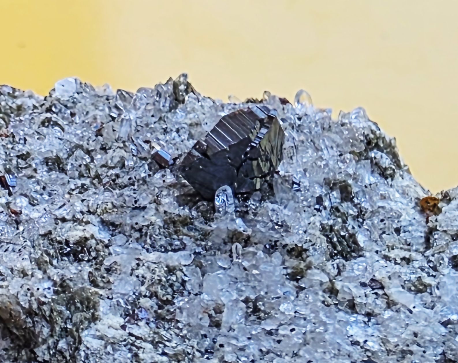 Mineralien & Heilsteine: Knopfrutil auf heller Matrix. Magnetit mit Rutil Binntal – Gebraucht aus Glis von nbu_65ys 8