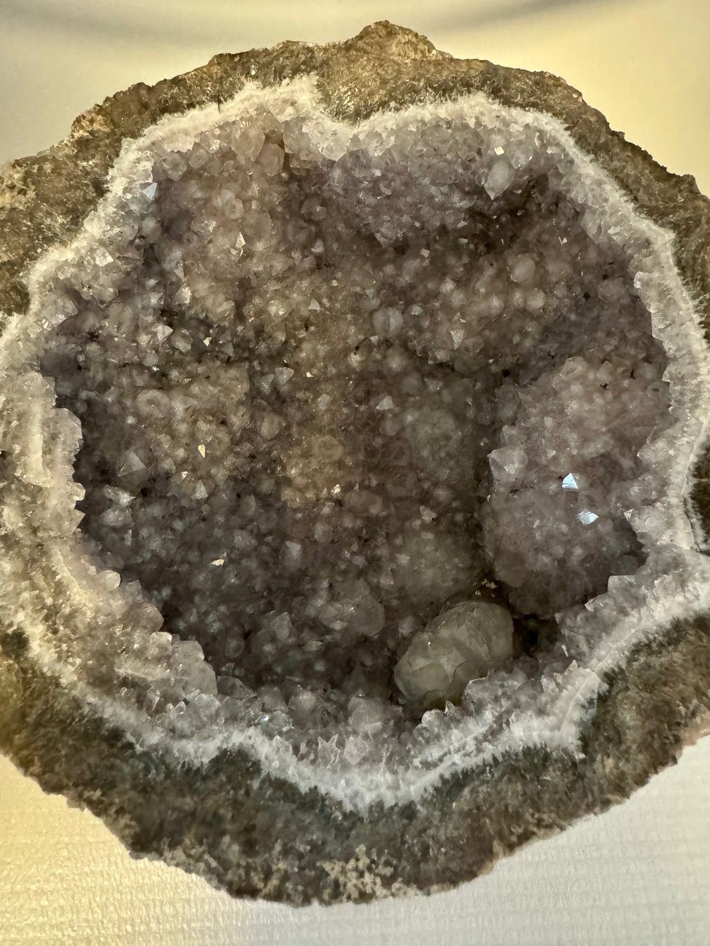 Minerali & Pietre curative: Amethyst Druse – Nuovo (secondo la descrizione) da Biberist venduto da Steine 1