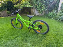 Naloo 20 Zoll Kindervelo, wie Neu