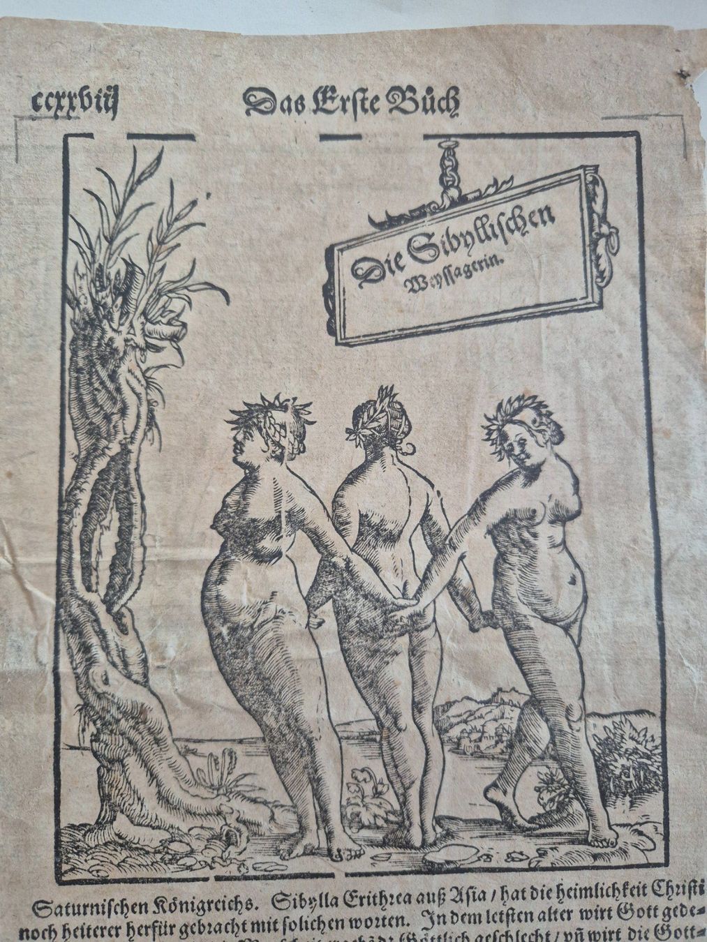 Posters & Illustrations: Das erste Buch Die Sibyllischen Weissagerin – D'occasion à Langendorf par zvonu161