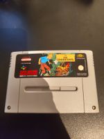 Tim Der Sonnentempel SNES PAL