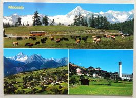 Moosalp, Bürchen - Törbel