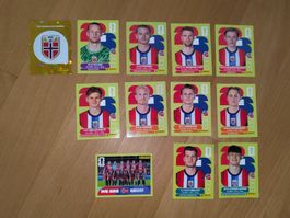 🇳🇴 12x Panini Team Norway - NOR 1-3,5-7,9,10,12,13,16,18