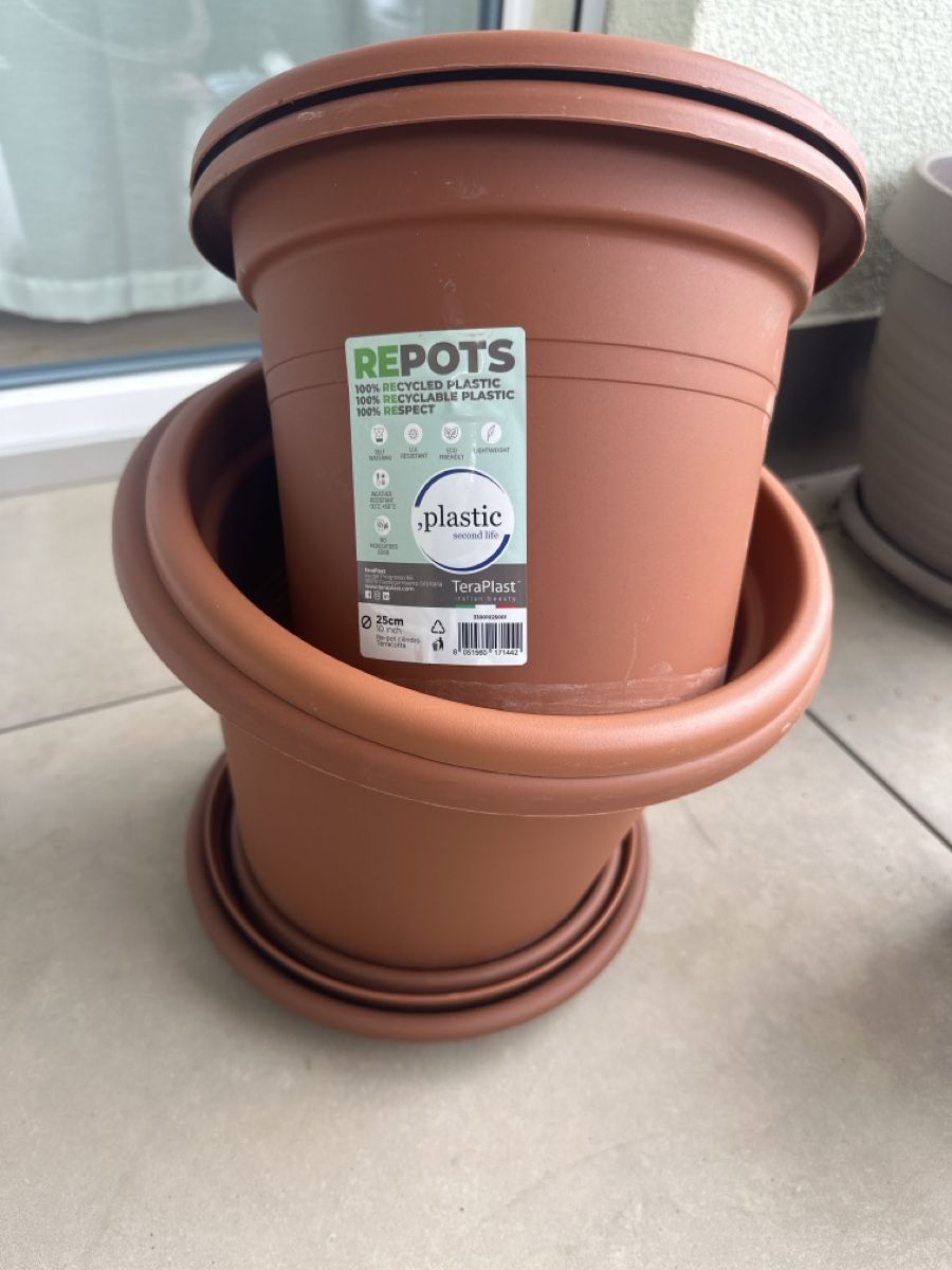 Pots de fleurs: Blumentöpfe – D'occasion à Altbüron par janroe