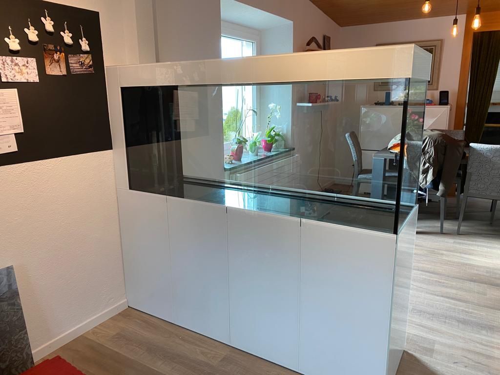 Acquari: Aquarium 170x60x70 – Nuovo (secondo la descrizione) da Berikon venduto da fischundart 6