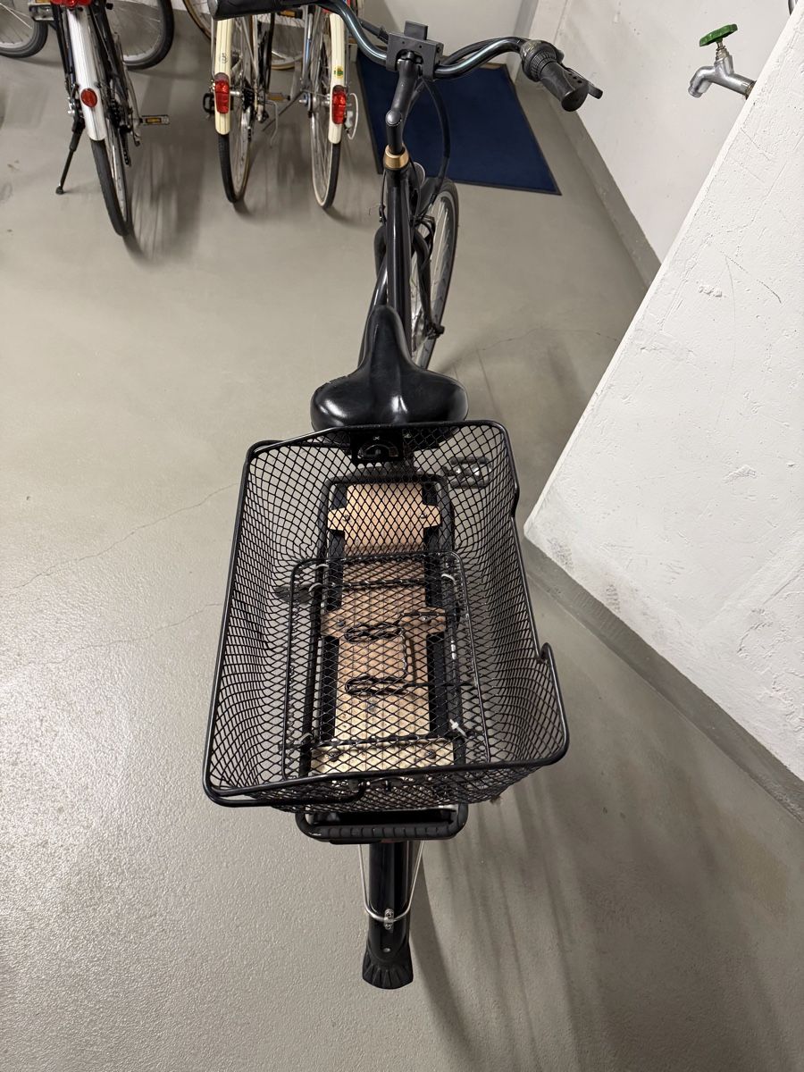 Saxonette Biciclette: Tolles Saxonette Elobike Light 2 – Usato da Nänikon venduto da Monschgal 6