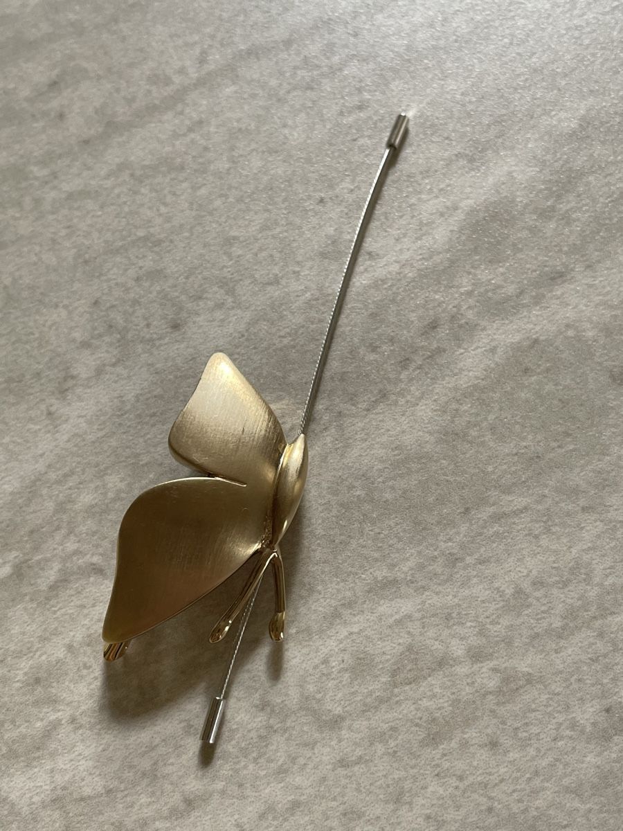 Pierre Lang Broches & Aiguilles: Hübsche Schmetterling Brosche Pierre Lang  – D'occasion à Flawil par Naphtali 1