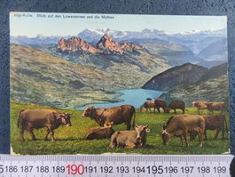 RIGI-KULM KUHHERDE LOWERZERSEE MYTHEN LU AK BESTOSSEN