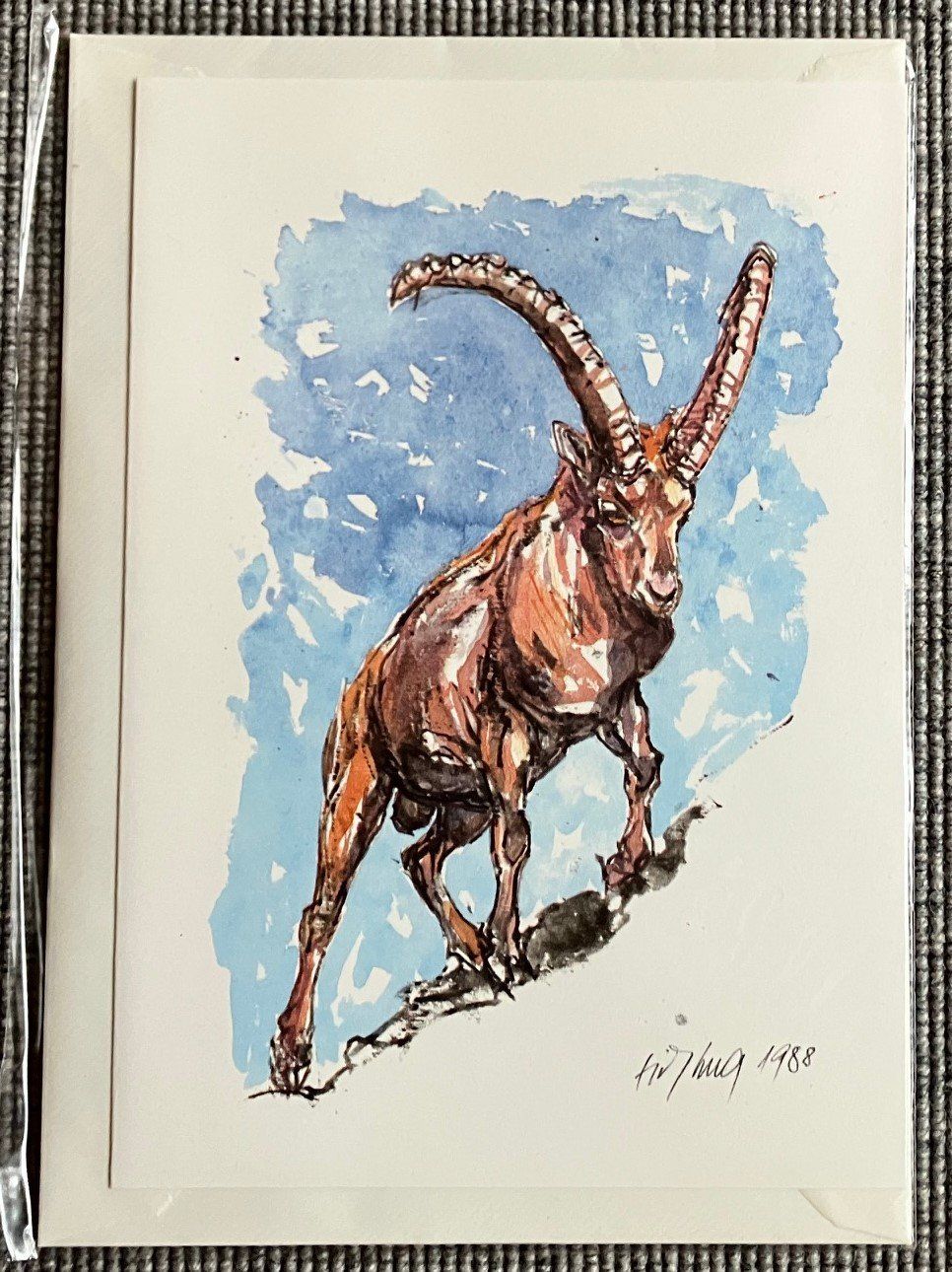 Cartoline: Fritz Hug Karten A5, 10 verschiedene Sujets – Nuovo e nell'imballaggio originale da Zürich venduto da CPH56 4