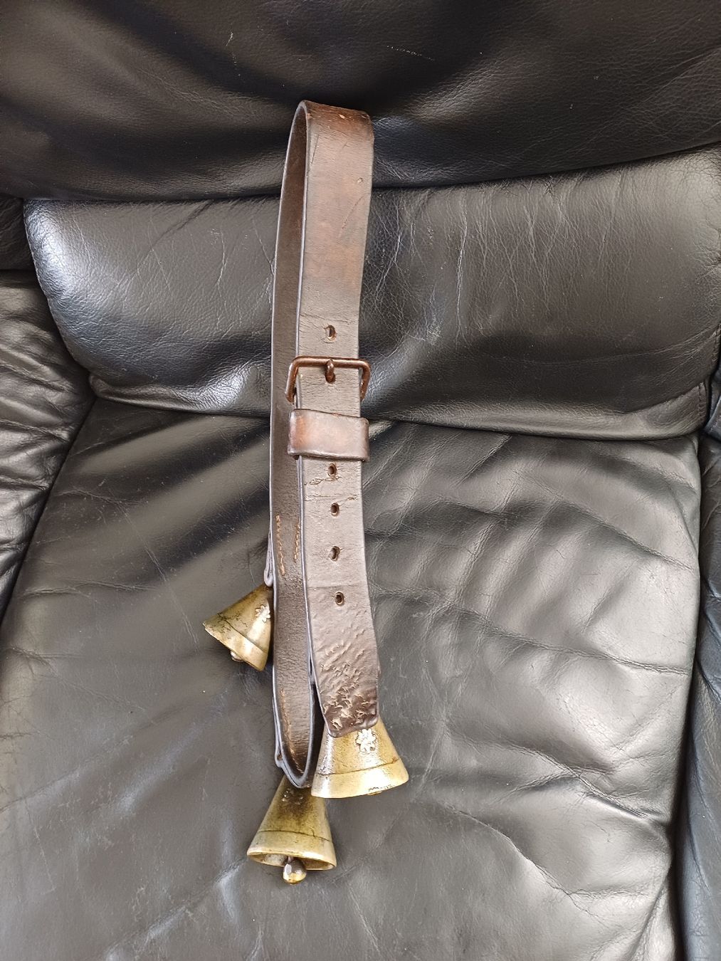 Campanacci mucche: Vintage Pferdegocken mit Ledergurt – Usato da Ebersecken venduto da Napf08 2
