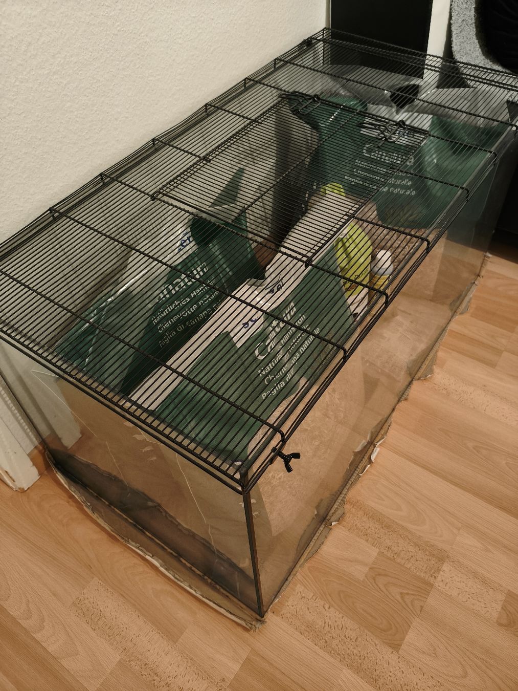 Terrariums: Terrarium – D'occasion à Schaffhausen par Interceptor-SH 1