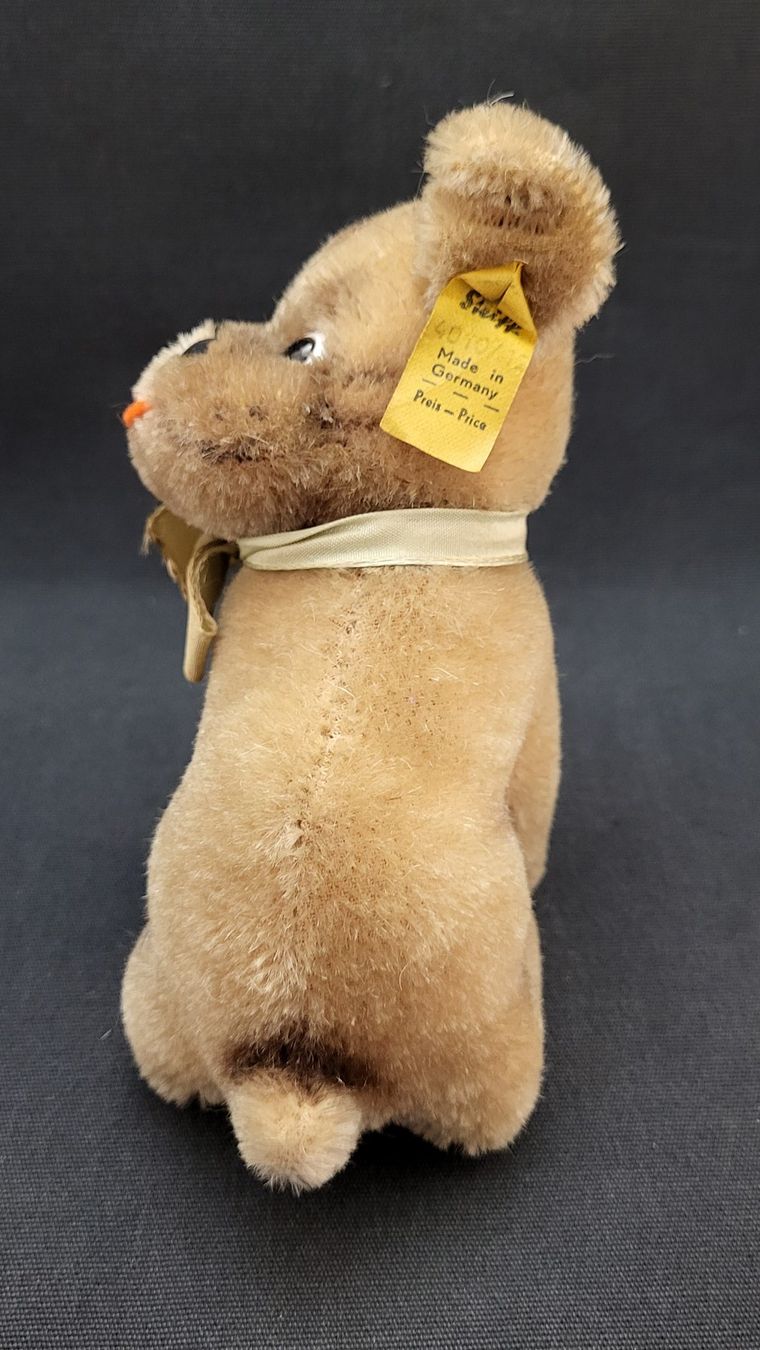 Steiff Giocattoli: STEIFF Hund Mopsy – Usato da Basel venduto da spinne02 4