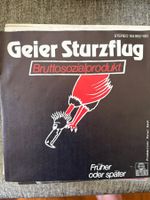 Geier Sturzflug - Bruttosozialprodukt