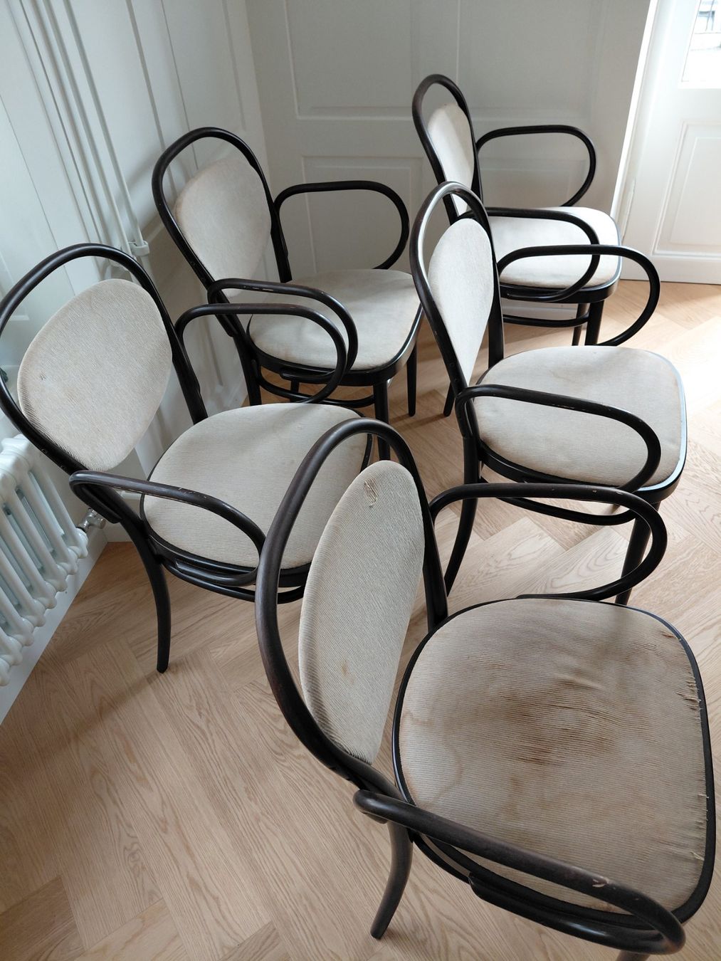 Thonet Sedie: 5 Stühle (Thonet) – Usato da Zürich venduto da benski34 1