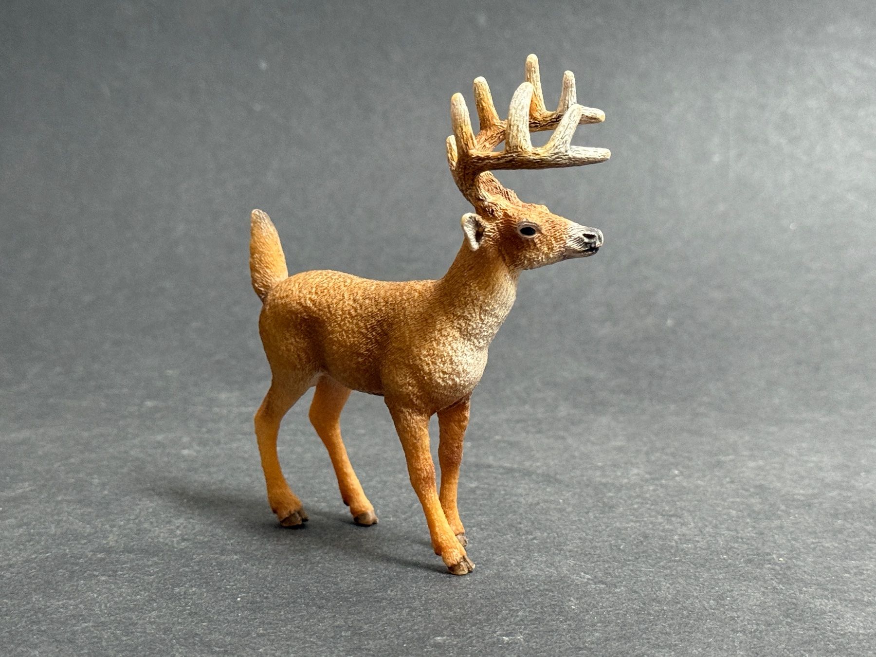 Schleich Statuette: Schleich Weisswedelhirsch Hirsch Kuh – Usato da Ennetbaden venduto da mapa05 5