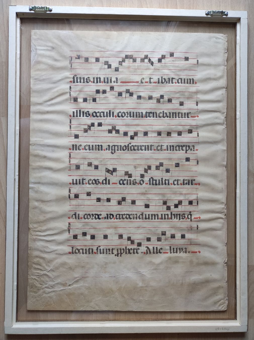 Poster & Bilder: MANUSKRIPTE - ANTIPHONARIUM – Gebraucht aus Goldach von Gaip 6