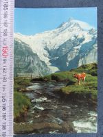 GRINDELWALD AUF BACHALP SCHRECKHORN BEO AK