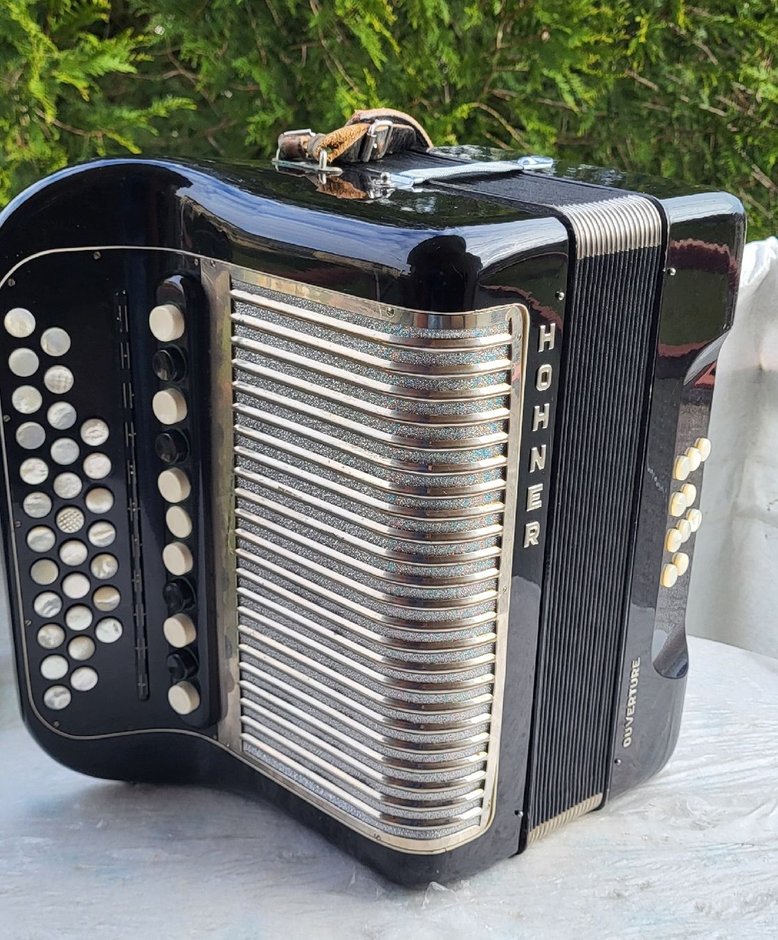 Hohner Strumenti musicali: Accordéon hohner Ouverture 4 voix – Usato da Penthalaz venduto da EvandroLuz 3