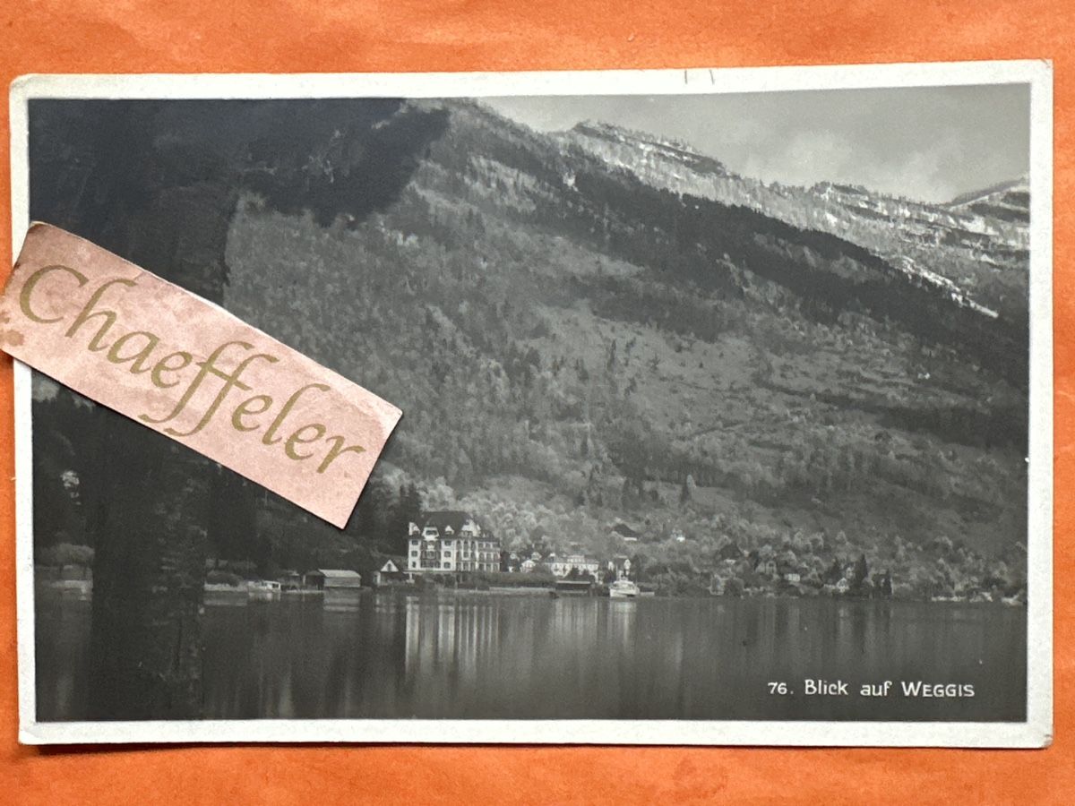 Cartoline postali: Feldpost-Ansichtskarte: Blick auf Wiggis, Rarität – Usato da Zürich venduto da Chaeffeler