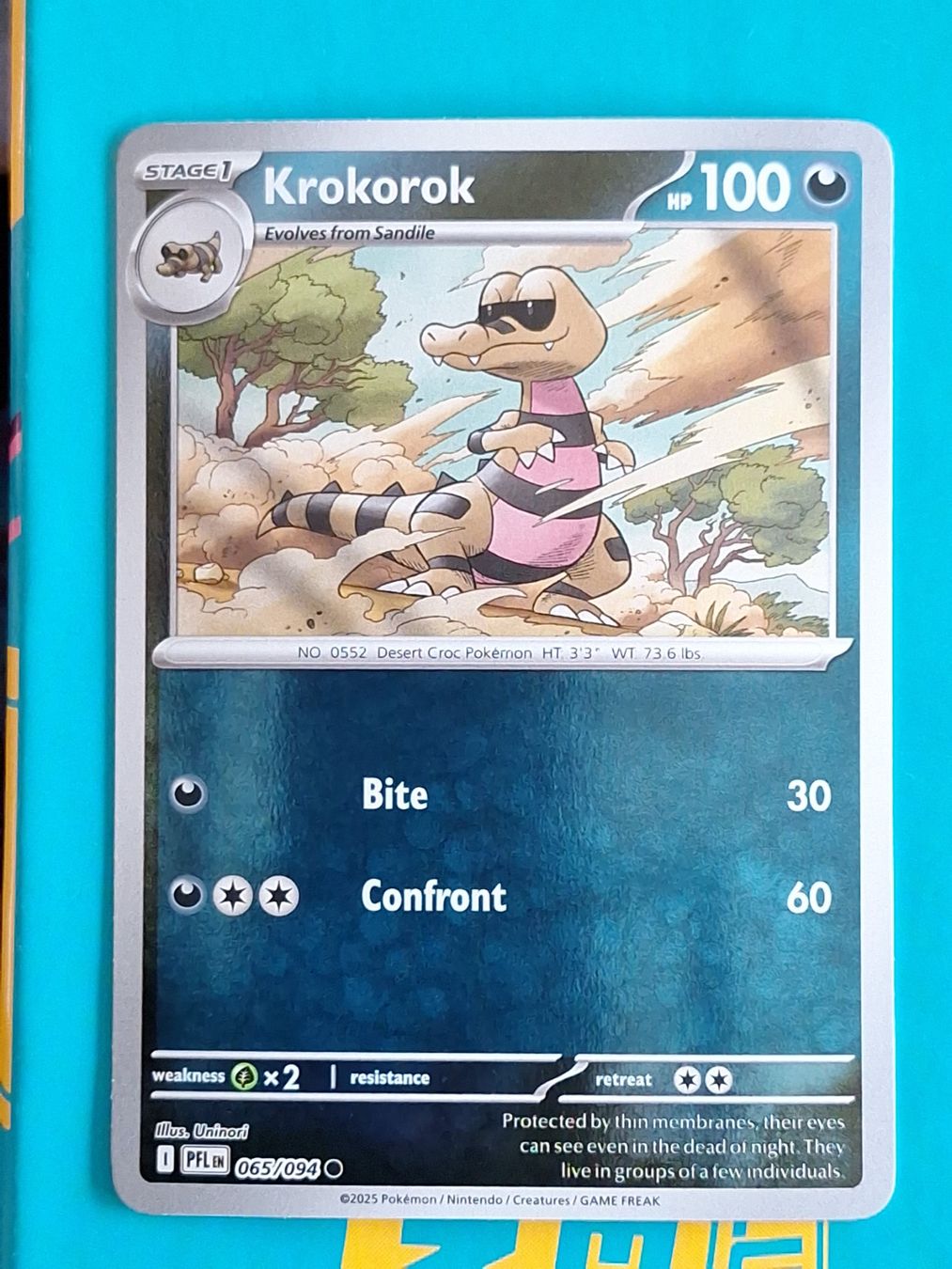 Pokémon Carte collezionabili: Krokorok - Reverse Holo - Pokemon Phantasmal Flames – Usato da Altstätten SG venduto da GGsGameshop