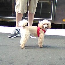Profile image of marsouple