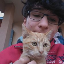 Profile image of Livio.Fel