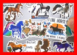 Pferd Ross reiten Stall Cowboy Horse Fury 50 tlg Stickerset