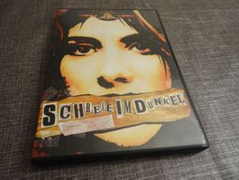 DVD Schreie im Dunkel DVD