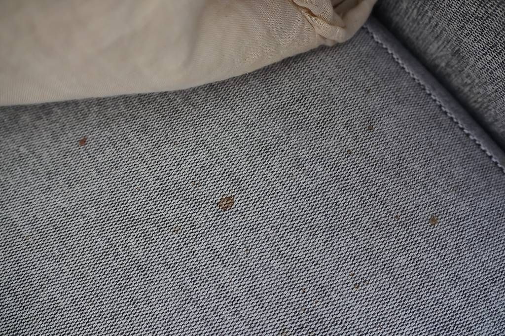 Divani: Hochwertiges Sofa gratis abzugeben – Usato da Zürich venduto da and_bf88 4