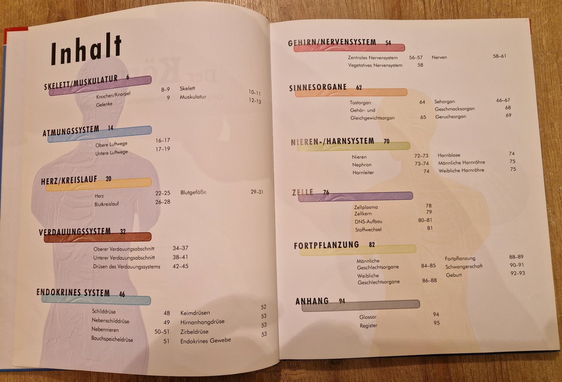 Libri: Der Körper – Usato da Salgesch venduto da cavio01 2