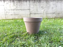 Blumentopf Pflanzentopf Gartentopf Blumen Topf Haushalt