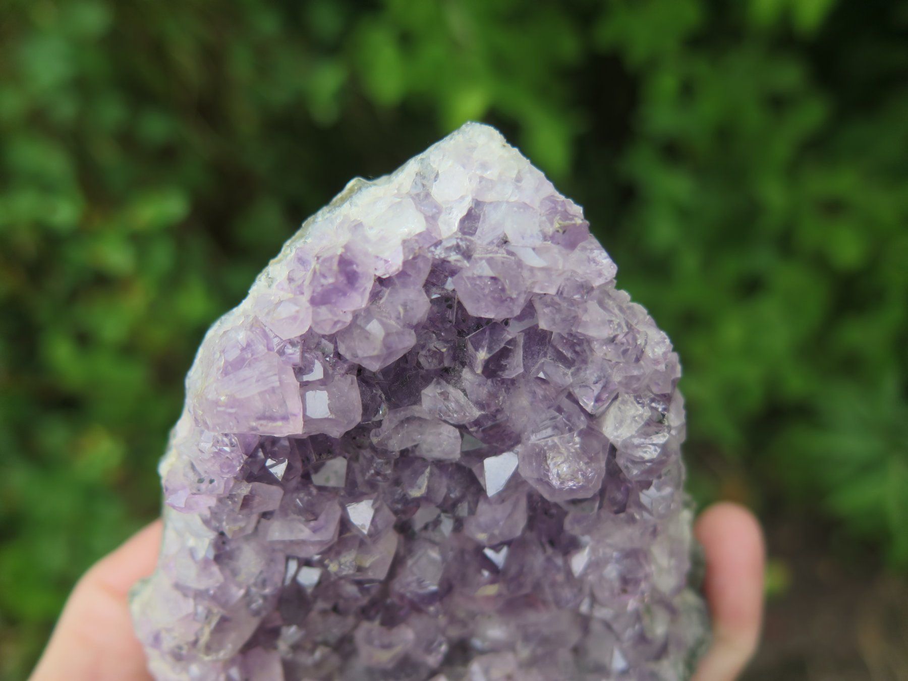 Minéraux & Lithothérapie: Amethyst von Brasilien ca. 426 gr. – D'occasion à Schaffhausen par Yamakana51L8736OQ8 3