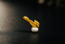 Schweizer Gold Nugget