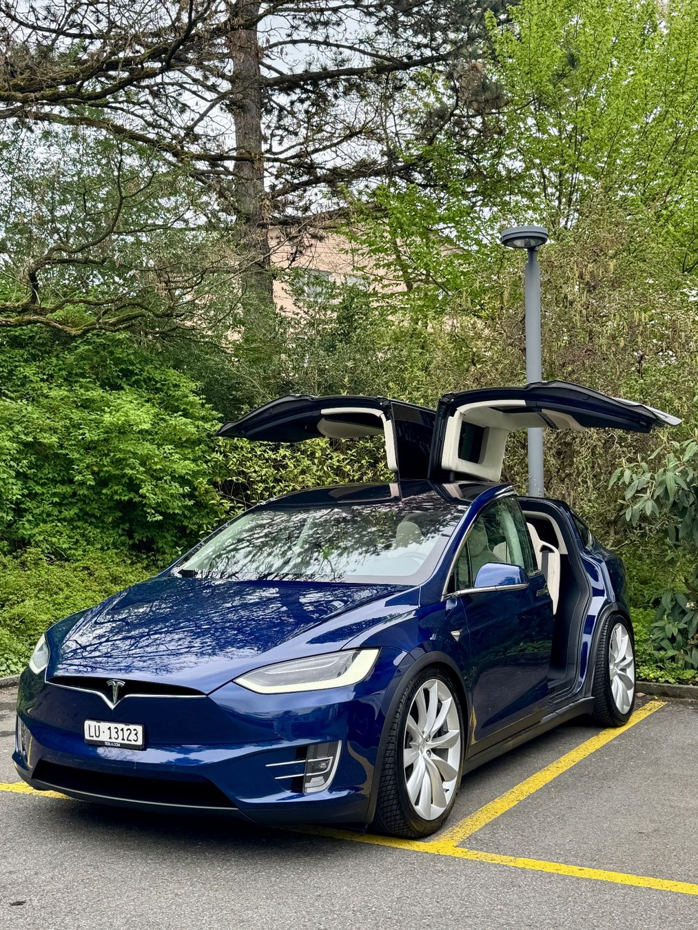 Tesla Autos: Tesla Model X 100 D 7 Plätzer sehr selten – Gebraucht aus Nebikon von kau_2bfl 2
