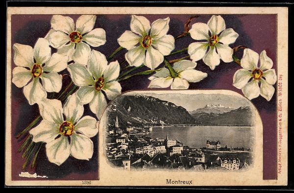 Cartes postales: Litho Montreux, Teilansicht am See mit B – D'occasion à Berlin par bartko-reher