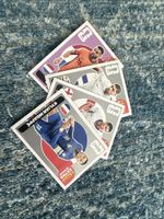 Panini extra sticker 3 Silber 1 pinker