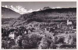 Spiez mit Blümlisalp