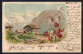 Litho Wengen, Wenger Alp, Panorama mit B