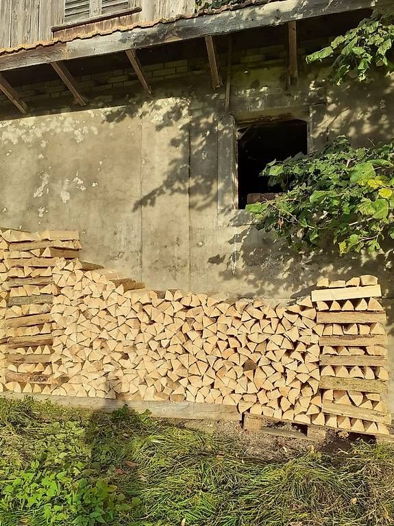 Articoli in legno: Brennholz Esche – Nuovo (secondo la descrizione) da Entlebuch venduto da Muesli05 1